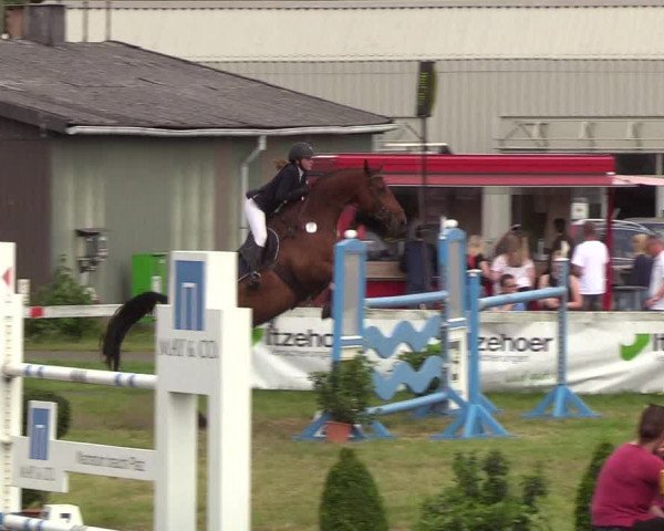 Reitturnier Rendsburg 2019
