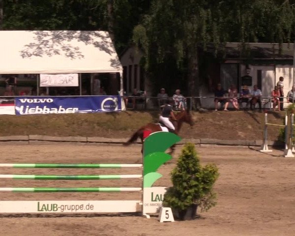 Reitturnier Lgl.-Oberhain, B95 2019
