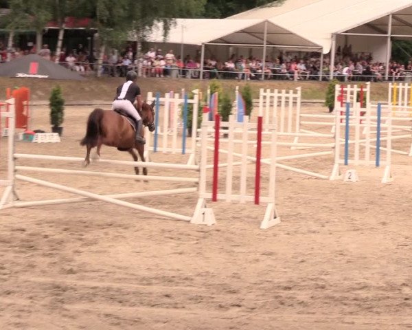 Reitturnier Lgl.-Oberhain, B95 2019