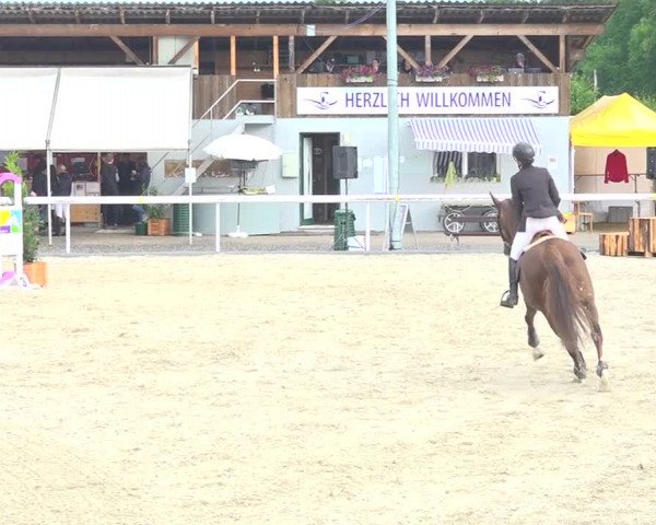 Reitturnier Münsingen 2019