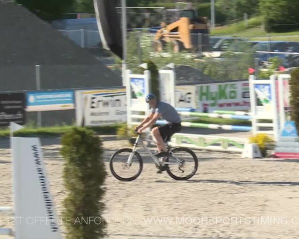 Reitturnier Plaffeien 2019
