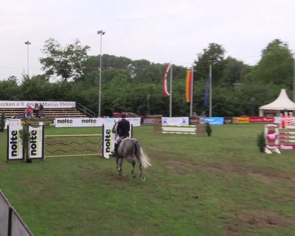 Reitturnier Borken 2019