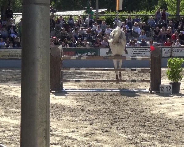 Reitturnier Zeiskam 2019