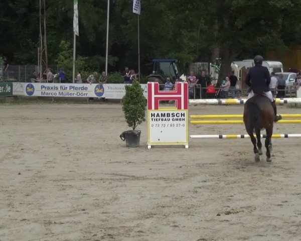 Reitturnier Zeiskam 2019
