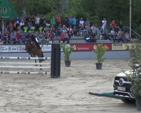 Reitturnier Zeiskam 2019