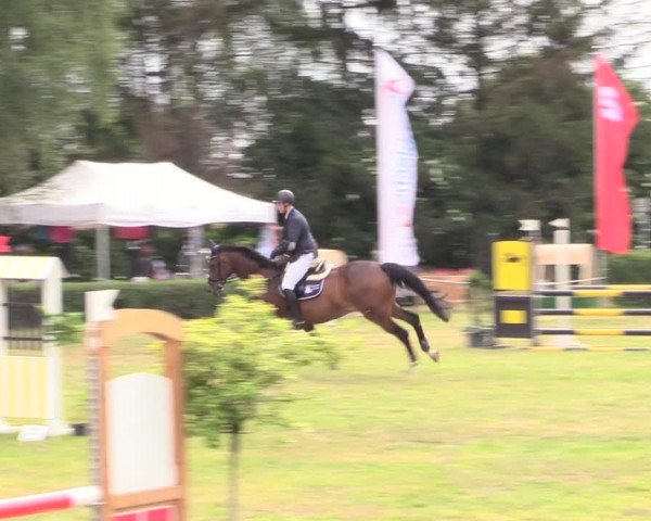Reitturnier Wustrow 2019