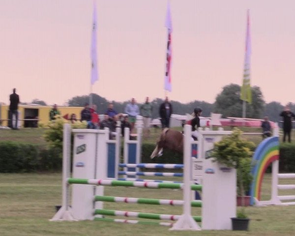 Reitturnier Wustrow 2019