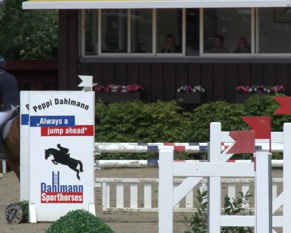 Reitturnier Fröndenberg 2019