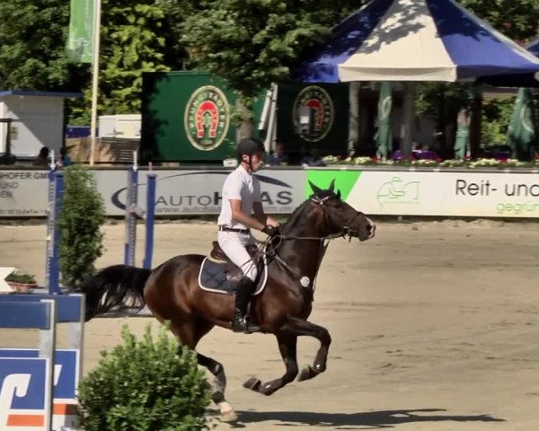 Reitturnier Viernheim 2019