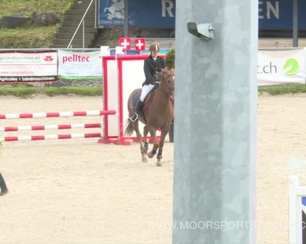 Reitturnier Plaffeien 2019