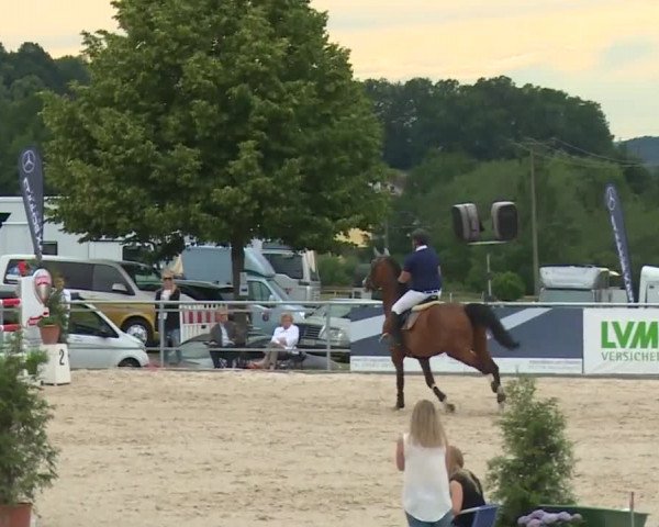 Reitturnier Küps/Ofr. 2019