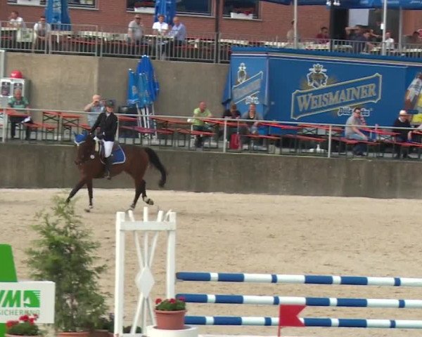 Reitturnier Küps/Ofr. 2019