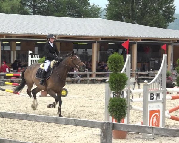 Reitturnier Hitzkirch 2019