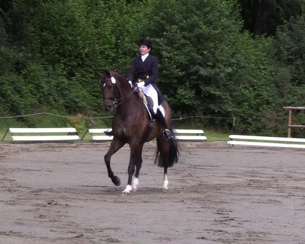 Reitturnier Hanerau-Hademarschen 2019