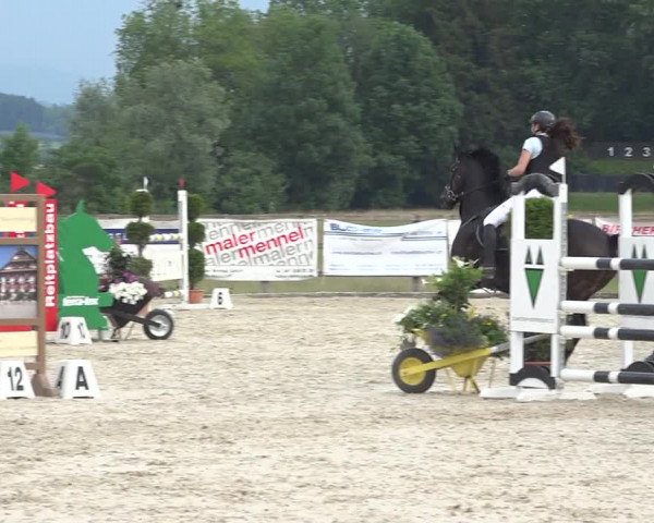 Reitturnier Hitzkirch 2019