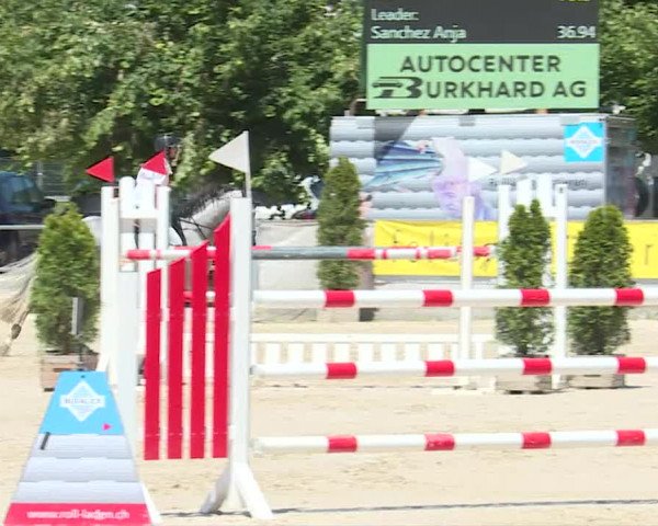 Reitturnier Balsthal 2019
