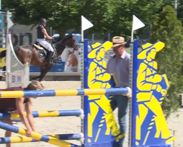 Reitturnier Balsthal 2019