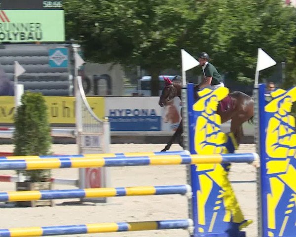 Reitturnier Balsthal 2019