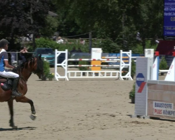 Reitturnier Schwerte-Gut Kückshausen 2019