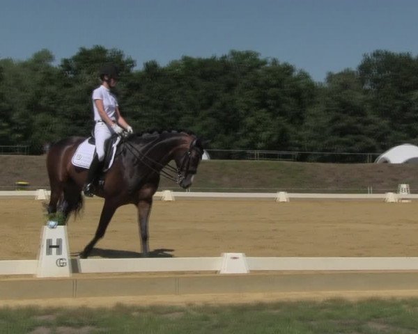 Reitturnier Vorsfelde 2019