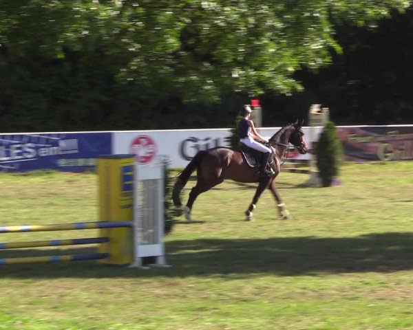 Reitturnier Vorsfelde 2019