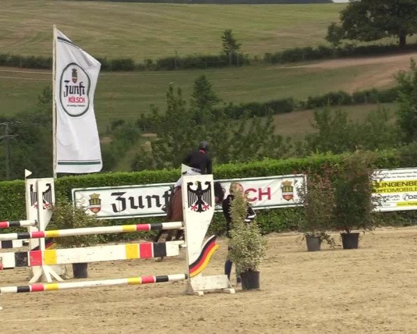 Reitturnier Lindlar-Süttenbach 2019