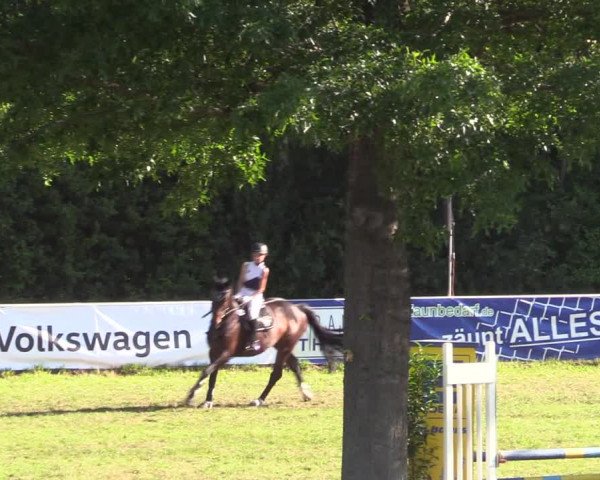 Reitturnier Vorsfelde 2019