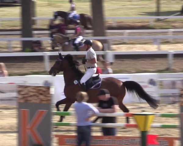 Reitturnier Letmathe 2019
