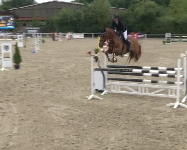 Reitturnier RA Haren/Lüssing 2019