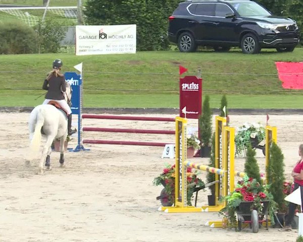 Reitturnier Turbenthal 2019
