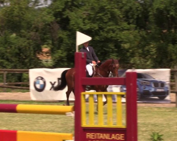 Reitturnier Ladeburg 2019