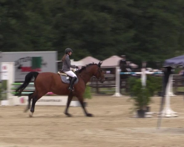 Reitturnier Hemer-Oese an der Edelburg 2019
