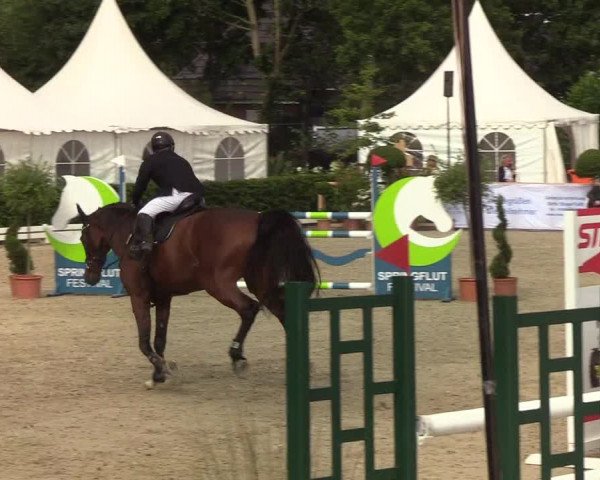 Reitturnier Hörup 2019
