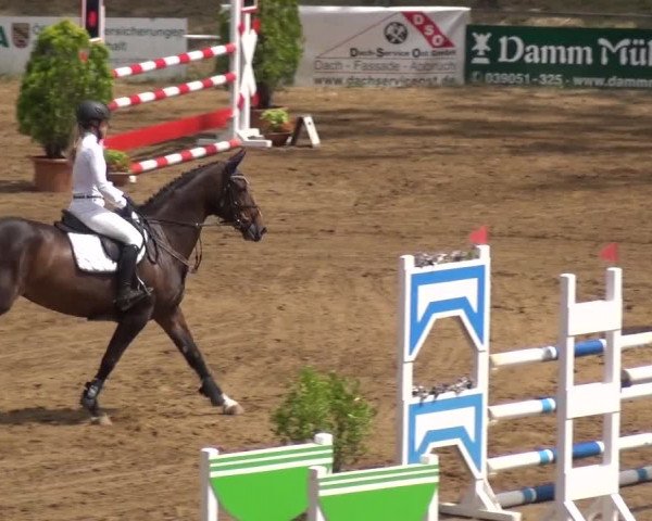 Reitturnier CSN Calvörde 2019