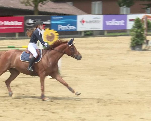 Reitturnier Dagmersellen 2019