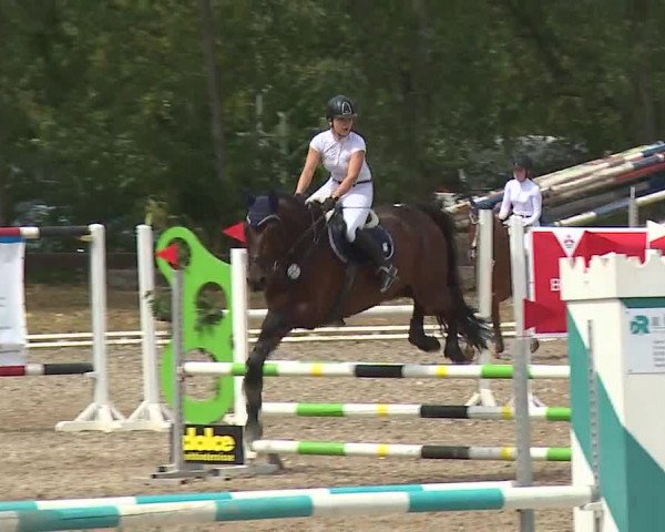 Reitturnier Kleinostheim/Ufr. 2019