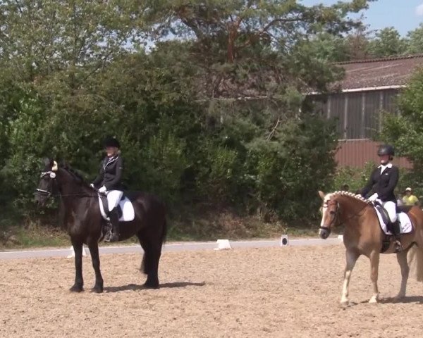 Reitturnier Kleinostheim/Ufr. 2019