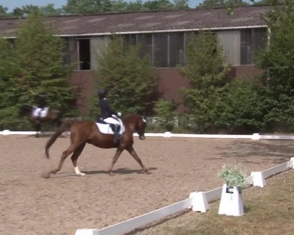 Reitturnier Kleinostheim/Ufr. 2019