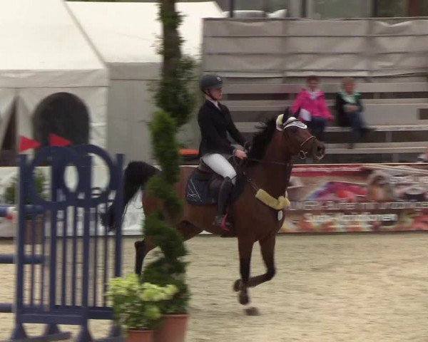 Reitturnier Hörup 2019