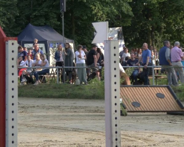 Reitturnier Herbern 2019