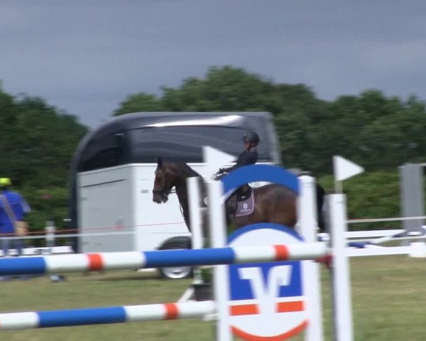 Reitturnier Heide 2019