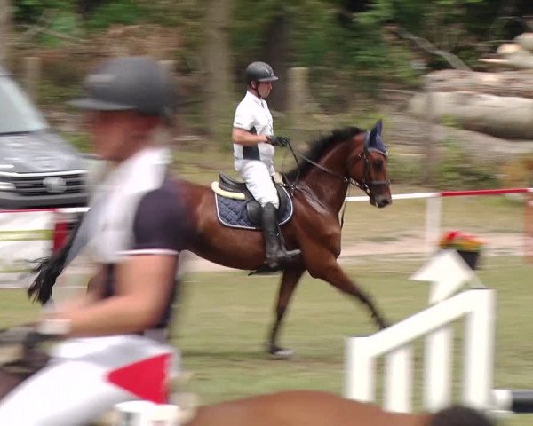 Reitturnier Boock 2019