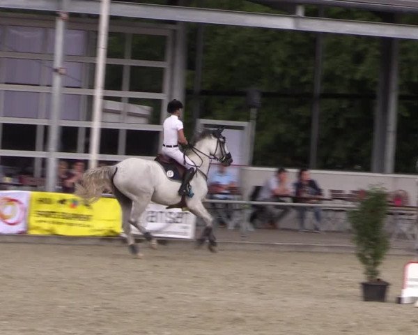 Reitturnier Wietmarschen 2019