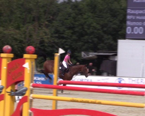 Reitturnier Wietmarschen 2019