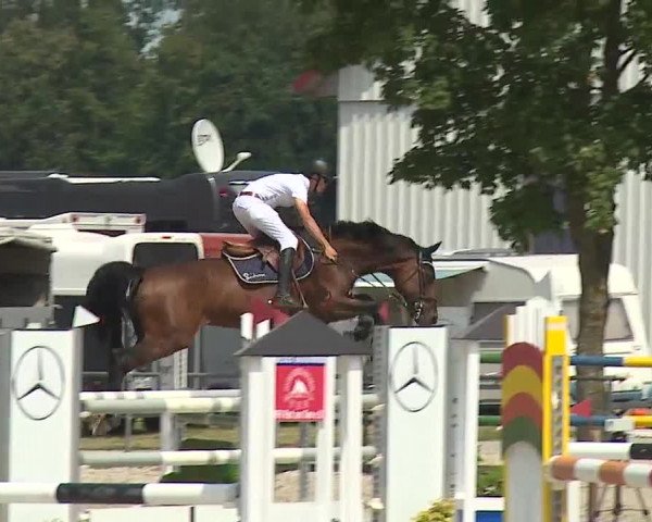 Reitturnier Rot am See- Musdorf 2019