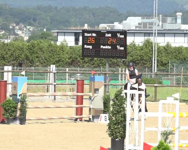Reitturnier Bättwil 2019