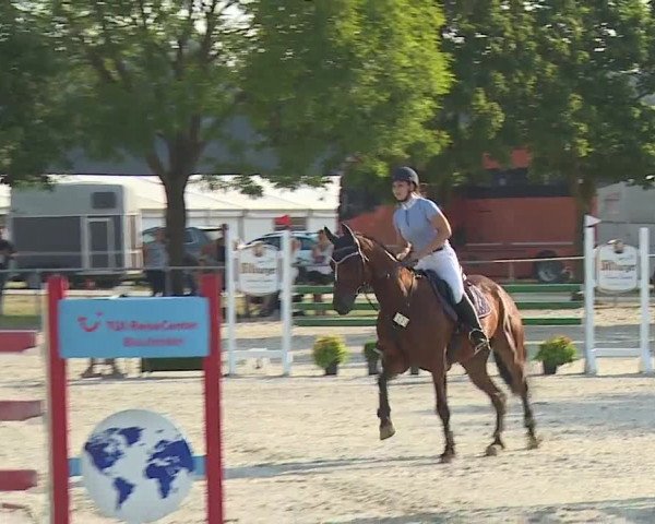 Reitturnier Rot am See- Musdorf 2019