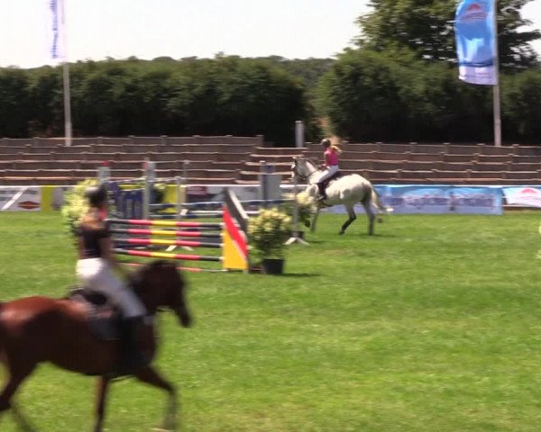 Reitturnier Baschütz bei Bautzen 2019
