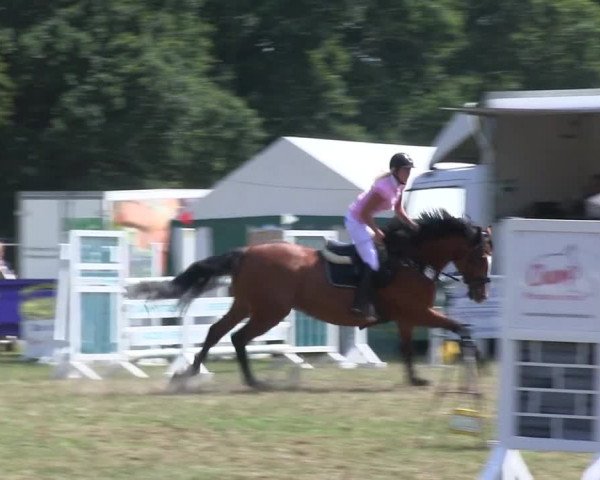Reitturnier Felmerholz 2019