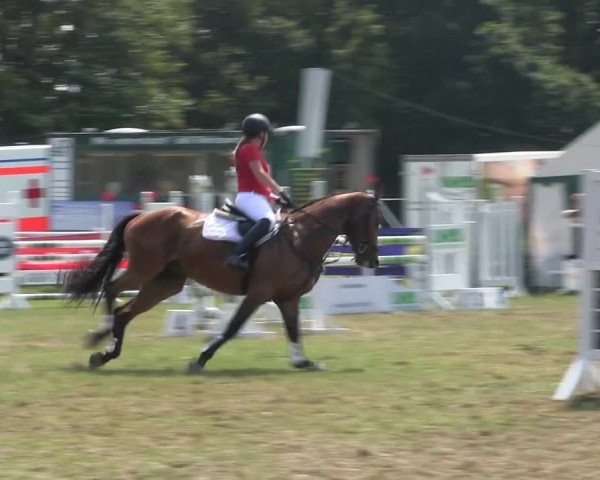 Reitturnier Felmerholz 2019